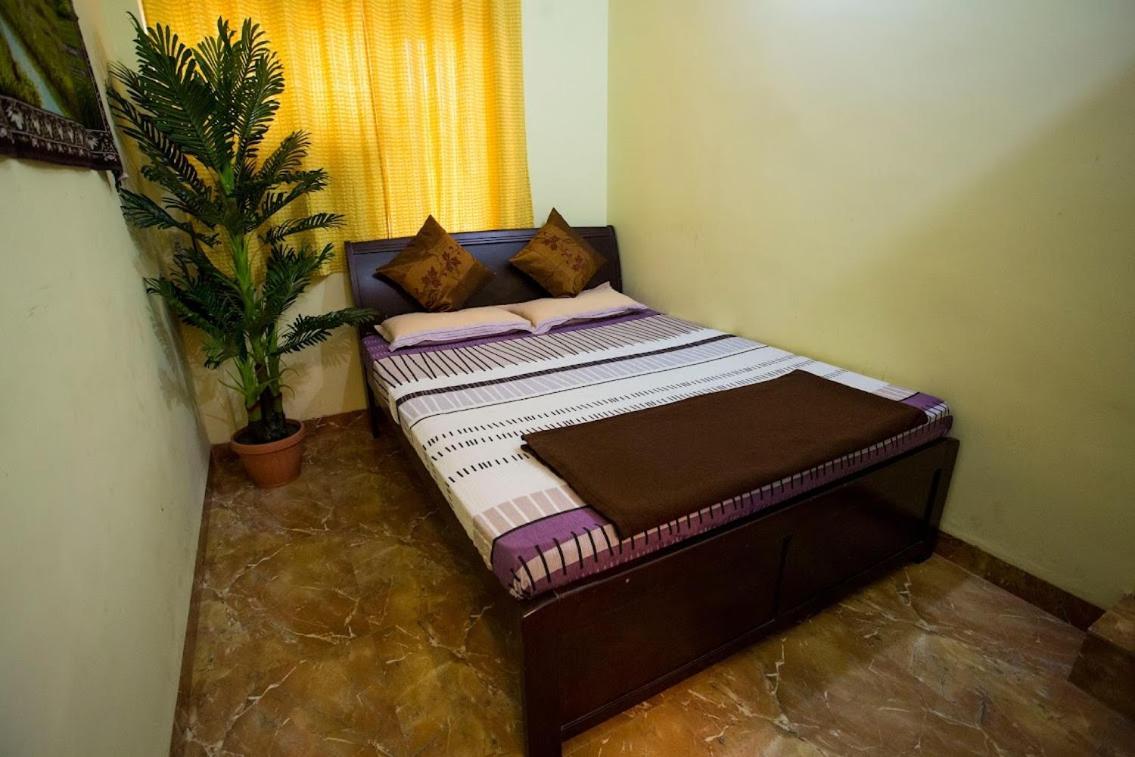 Darryl Ribeiro's 2bhk & 3bhk In A Guest house